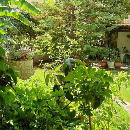 Lovely House Atenas Exterior foto
