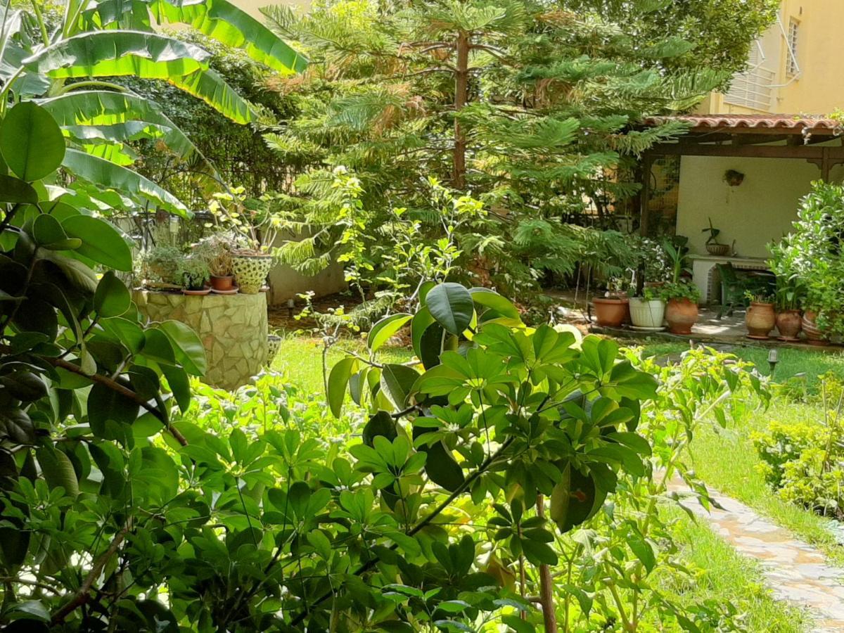 Lovely House Atenas Exterior foto